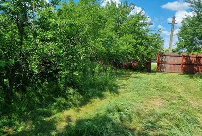 Casă cu 3 camere în Făgețelu - 6