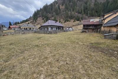 Casă cu Teren 2723 Mp în Sătic - 2