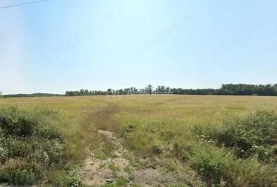 Teren de 127500 mp, în Forotic - 8