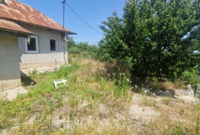 Teren de 1200 mp, în Mahmudia - 8
