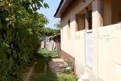 Casă cu 4 camere în Țânțăreni - 2