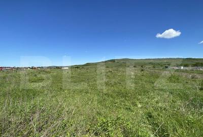 Teren Intravilan zona Industriala - 4