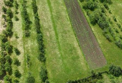 Teren de 4122 mp, în Josenii Bârgăului - 1