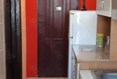 Apartament cu 2 camere semidecomandat în Viziru 3 - 3