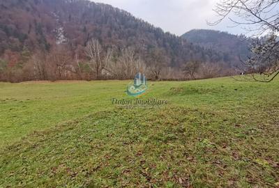 Teren Construcții de 3560 mp, în Periferie - 9