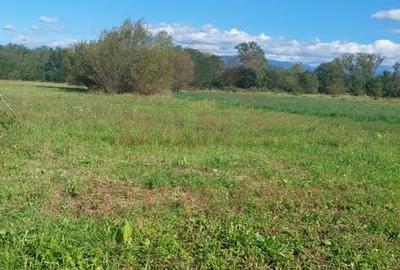 TEREN INTRAVILAN\699 mp, 45EUR mp\ CARANSEBEȘ\ ZONA TEIUȘ - 4