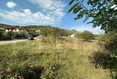 Teren de 750 mp, în Cetate - 2