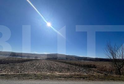 Teren de 2016 mp, în Pădureni (Ciurila) - 2