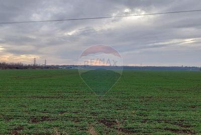 Teren 19,999.86mp Paulesti / Autostrada DN1 - 5