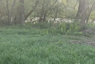 Teren de 26403 mp, în Negreni - 9