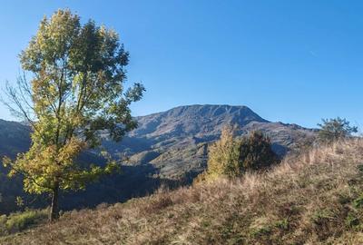 Casă cu 3 camere în Plai - 2
