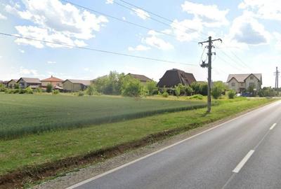 Teren Construcții intravilan de 10700 mp, în Căciulați - 1