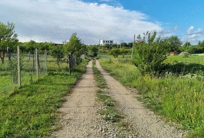 Teren de 1000 mp, în Daia - 2