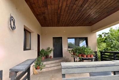 Casă cu 4 camere cu Teren 1700 Mp în Pietroasele - 2