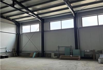 Spatiu 650 mp - Showroom Comercial - Depozitare - 18