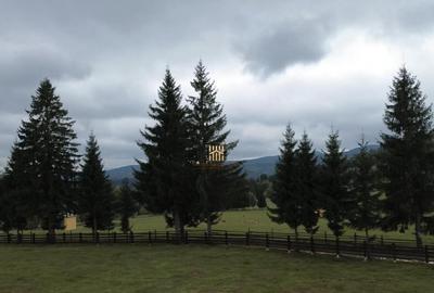 Teren 2804 mp, la munte! In Bucovina Fundu Moldovei! - 6