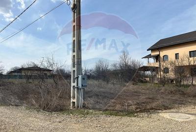 Teren Construcții intravilan de 700 mp, în Izvorani - 4