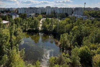 Apartament cu 2 camere semidecomandat în Colentina - 3