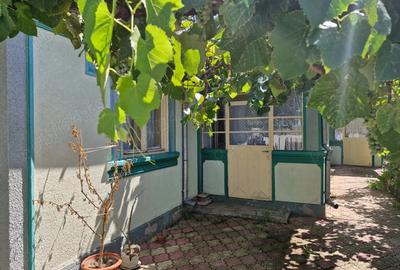 Casa in Rosiori de Vede - 4
