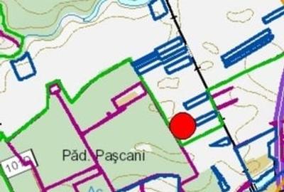 Teren intravilan 4950 mp, com Snagov-Caciulati - 2