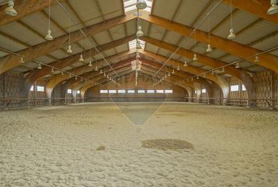 Hotel/Pensiune, de 2,950 mp, în Pănicel - 56