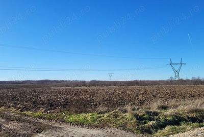 Teren de 10614 mp, în Mareș - 1