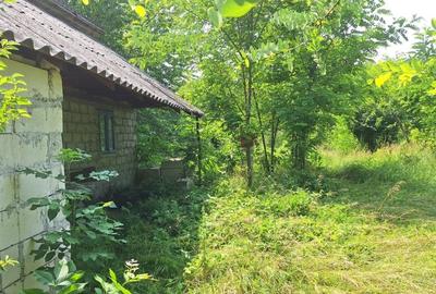 Butimanu Teren Intravilan Utilitati OFERTA - 3