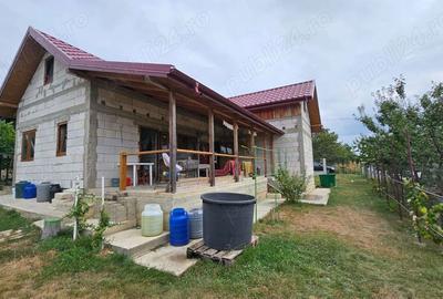 Casă cu 3 camere cu Teren 1500 Mp în Drislea - 10