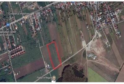 Corbeanca teren intravilan 5000 mp compact deschidere 22 ml, utilitati in zona - 3