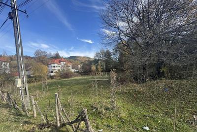 TEREN INTRAVILAN 13167 MP BUGHEA DE SUS ARGES - 12