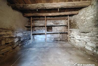 Teren Construcții intravilan de 2946 mp, în Micești - 15