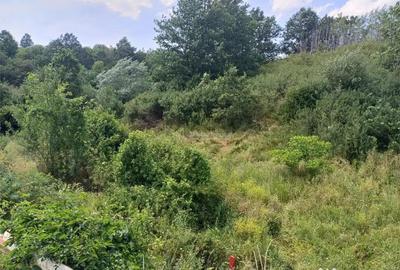 Teren de 2000 mp, în Central - 4