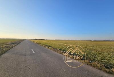 Dascalu-Creata-DC185-7900 mp intravilan, stradal - 4