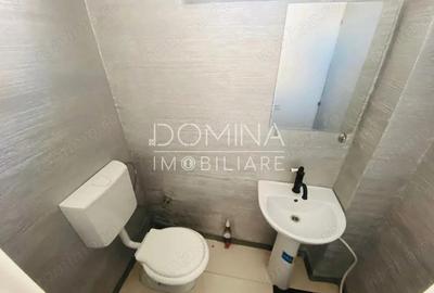 Inchiriere spa?iu comercial P+M - strada 9 Mai *zona intens circulata* - 6