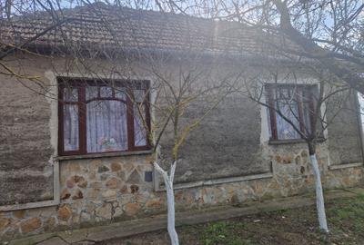 Casă cu 4 camere în Central - 1