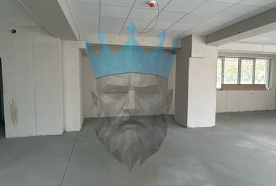 Spatiu Comercial zona Decebal - Matei Basarab Bucuresti - 6