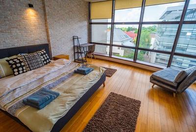 Apartament cu 2 camere decomandat, mobilat în Herăstrău - 8