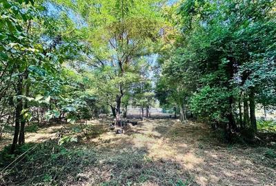 Teren intravilan 1500mp in Livedea, Ialomita - 8