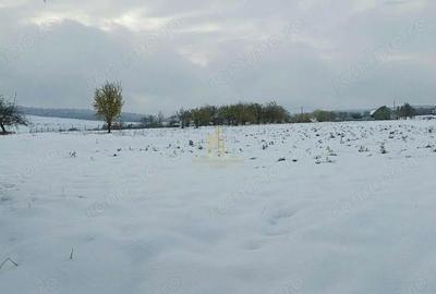 Teren de 2900 mp, în Ilișești - 3