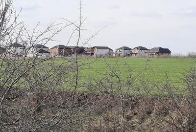 Teren Corbeanca- Ostratu- langa padure - zona cu aer curat si liniste Teren Corbeanca- Ostratu- langa padure - zona cu aer curat si liniste - 2