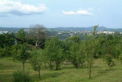 Teren de 974 mp, în Poiana - 6