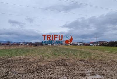 Teren extravilan 3200 mp de vanzare Sard - 2