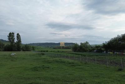 Teren 3953 mp Falticeni Tarna Mare De 0727817187 - 19