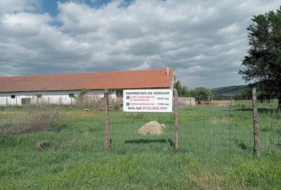 Spațiu comercial, de 4,565 mp, în Cunța - 8