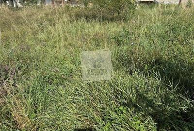 Casa individuala cu 2 camere si 495 mp teren in Sura Mare - 6