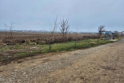 Teren de 10000 mp, în Balotești