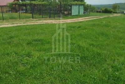 Teren de vinzare in Tropini Vechi - 8