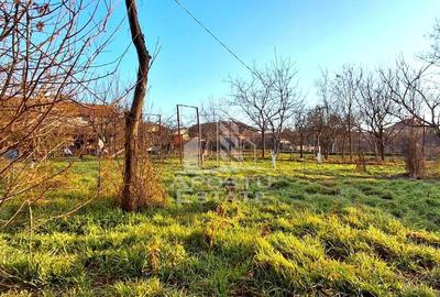 Casă in Parneava pentru afacere sau familie mare - 17