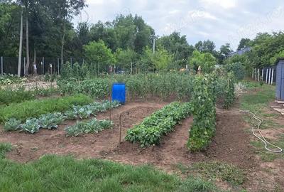 Casă cu 4 camere cu Teren 21000 Mp în Ceuaș - 8