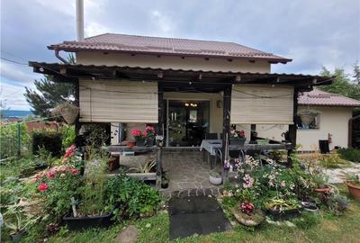 Casa 4 camere , Livezeni , Orizont , 10 ari teren - 3